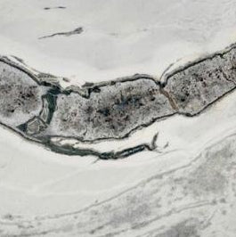 CALACATTA ANACONDA MARBLE