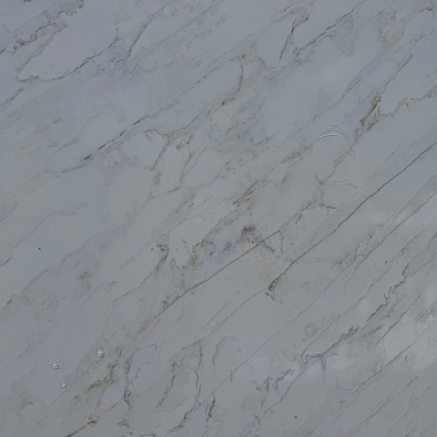 CALACATTA GOLDEN STORM JUMBO