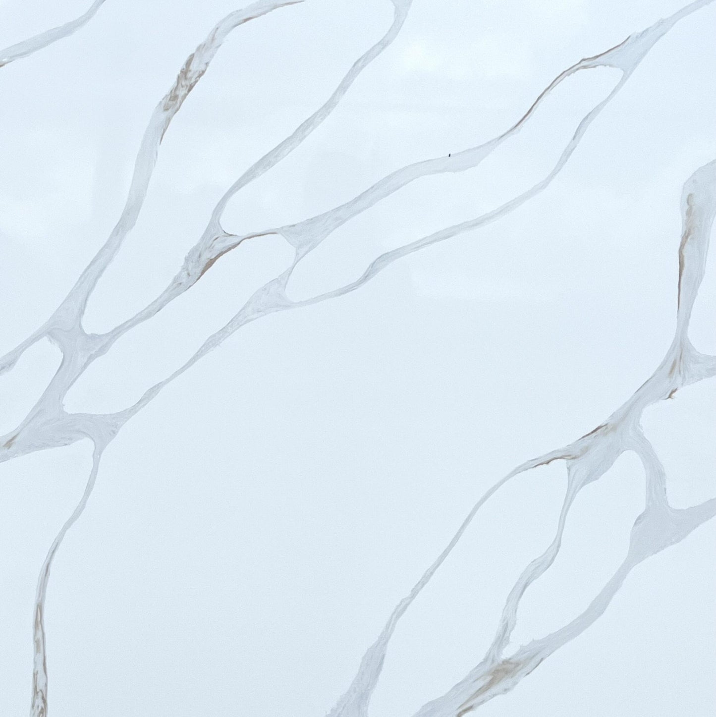 CALACATTA 2023 QUARTZ