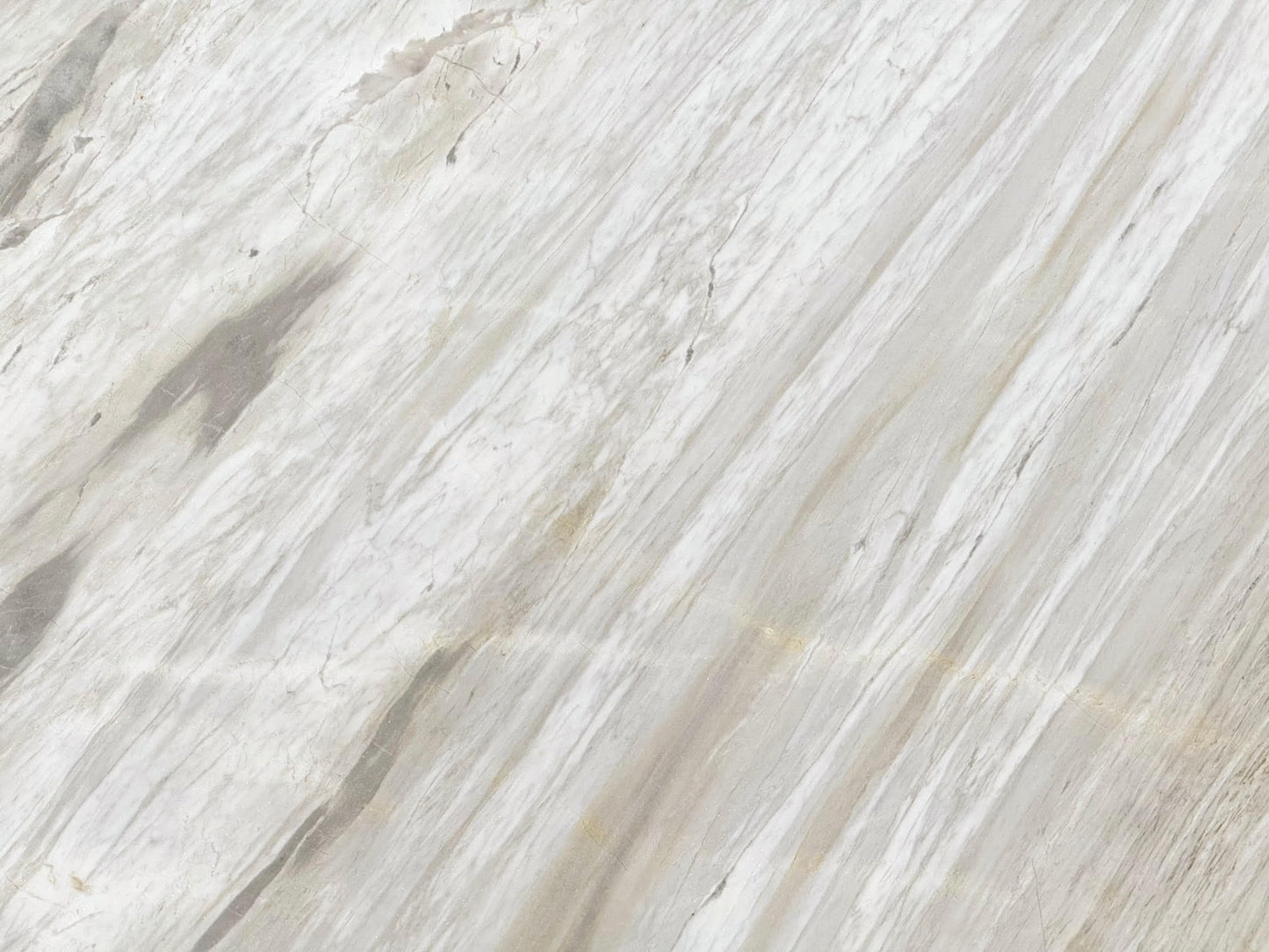 Ajax/ AJAX PREMIUM -Arabescato-Ondulato