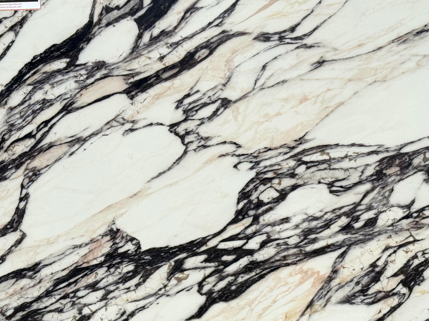CALACATTA MONET QUARTZ